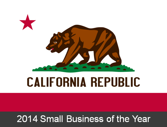 Hastest Solutions Inc Receives the Small Business of the Year Award